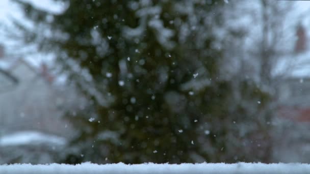 Slow Motion Dof Кінематографічний Повільний Знімок Невеликих Незайманих Білих Сніжинок — стокове відео