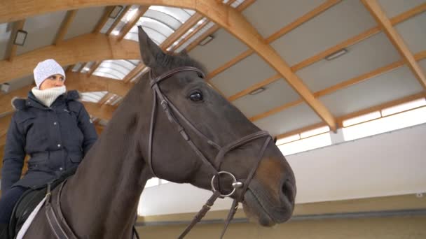 Fechar Mulher Branca Jovem Casaco Inverno Sentado Belo Cavalo Cabelos — Vídeo de Stock