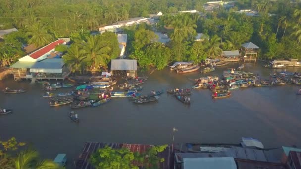 Aerial Floating Market Merchants Doing Business River Idyllic Sunny Evening — Stock Video