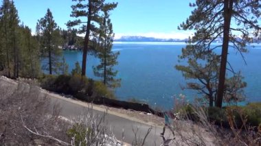 Genç kadın turist Kaliforniya vahşi güzel göl boyunca çalıştırarak güneşli gün zevk. Nefes kesen Lake Tahoe yakınındaki pitoresk orman yoluyla koşu tatilde aktif kadın.