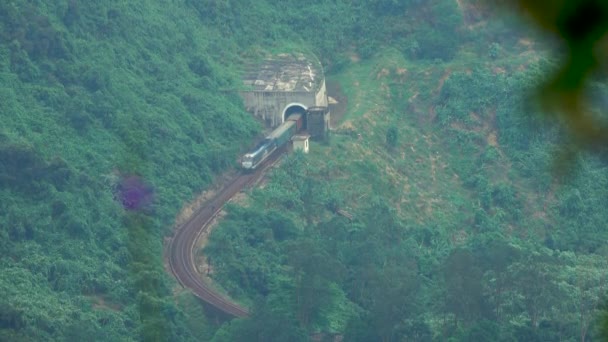 Aereo Lungo Treno Merci Esce Dal Tunnel Muove Attraverso Lussureggiante — Video Stock