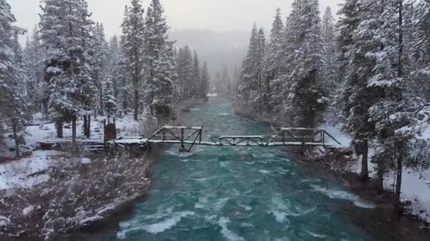 アメリカの荒野の雪の森を駆け抜ける美しい川を渡る古い木製の橋の上を飛ぶ 雪に覆われた森を流れる壮大なエメラルド色の川 — ストック動画