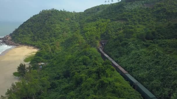 Aereo Lungo Treno Merci Che Attraversa Lussureggiante Isola Tropicale Entra — Video Stock