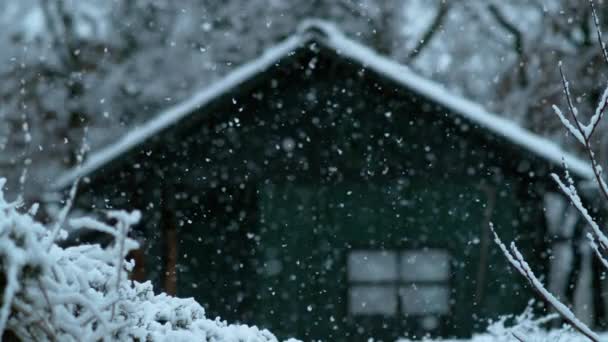 Slow Motion Dof Cinematic Shot Wooden Shack Woods Beautiful Snowy — Stock Video