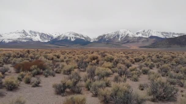 Luchtfoto Vliegen Dorre Wildernis Onder Spectaculaire Besneeuwde Bergtop Landelijk Deel — Stockvideo