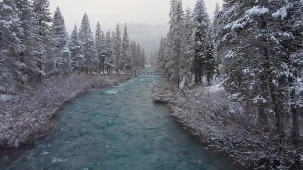 カリフォルニアの風光明媚な荒野で雪の日にエメラルド川を渡る木製の橋に向かって飛ぶ 壮大な山の川と広大な雪の結晶が落ちる 大きな森 — ストック動画