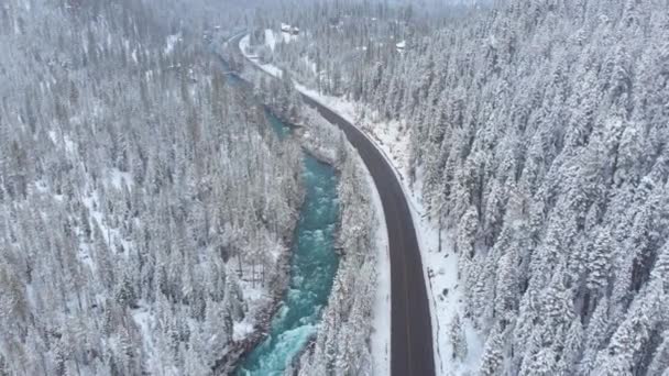 Aerial Voando Acima Pitoresca Floresta Inverno Esmeralda Fluxo Colorido Que — Vídeo de Stock