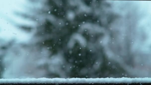 Slow Motion Dof Morbidi Fiocchi Neve Bianchi Salpano Dal Cielo — Video Stock