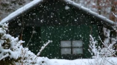 Slow Motion Dof: Sakin bir ormanın güzel yavaş çekim görüntüsü ve karlı bir günde yalnız yeşil bir ahşap kulübe. Saf beyaz kar taneleri gökten düşüyor ve kışın sakin ormanı kaplıyor..