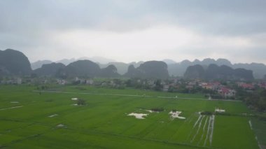Drone: Hasat için hazır büyük pirinç tarlaları yakınındaki küçük bir köyden uzağa uçan. Sakin Vietnam kırsalında sulanan pirinç tarlalarının havasından muhteşem manzara. Güzel doğa