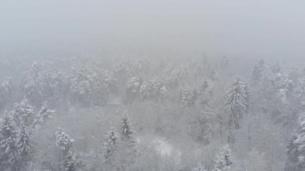 在暴风雪期间飞越空旷的针叶林 一场覆盖着偏远树林的暴风雪的拍摄 山上的寒冷冬天的天气 低能见度 — 图库视频影像