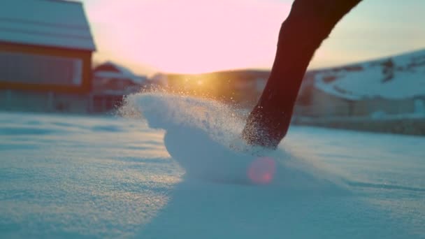 Slow Motion Närbild Låg Vinkel Lens Flare Brun Häst Promenader — Stockvideo