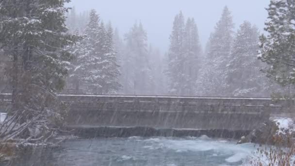 エメラルド色の川を渡るコンクリート橋を罰する激しい吹雪は 広大なカリフォルニアの荒野の縮小林を突き抜けます 田舎を新雪で覆う吹雪 — ストック動画