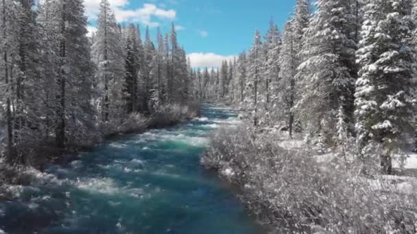 Aerial Spectacular Emerald Mountain Stream Rushes Idyllic Snowy Forest Rural Royalty Free Stock Video