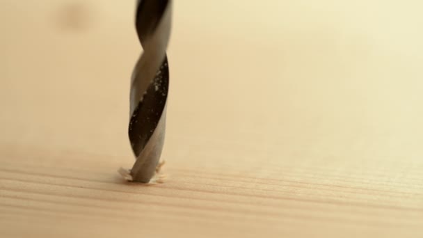 MACRO: Detaljerad närbild av skarp metall bit borra i en träskiva. — Stockvideo