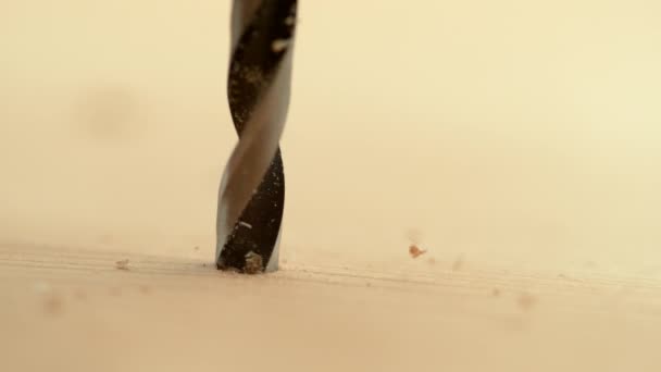 MACRO, DOF: Carpenter begins drilling into a plank with a new power drill. — Stock Video