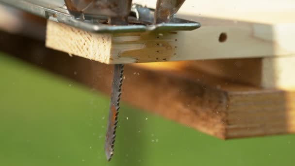 MACRO: Colpo dettagliato di sega tagliata in un pezzo di legno sdraiato sul banco da lavoro. — Video Stock