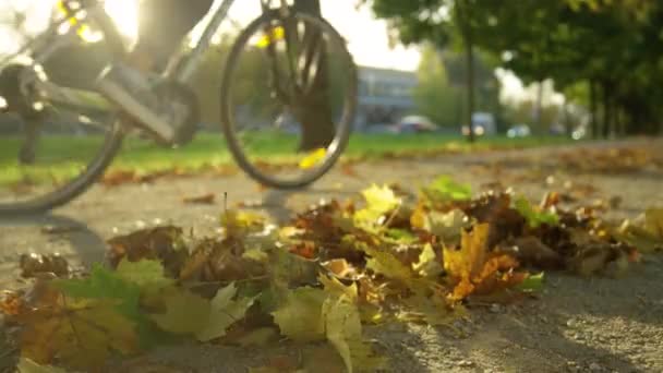 CLOSE UP: Unrecognizable person rides a bicycle past a heap of fallen leaves. — Stock Video