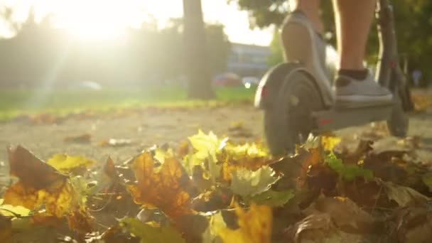 LENS FLARE: Gyllene solstrålar lyser på högen av blad som mannen rider skoter över det — Stockvideo