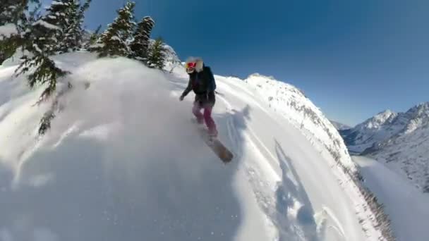Cool snowboarder κορίτσι θρυμματίζει φρέσκο χιόνι καλύπτει τα βουνά του Καναδά — Αρχείο Βίντεο