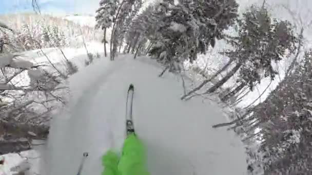 SELFIE: Hombre en los cielos de vacaciones de invierno a través del bosque de pinos cubierto de nieve en polvo — Vídeo de stock