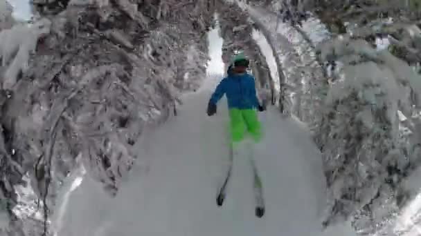 SELFIE：在犹他州帕克城的田园诗般的冬季森林里，滑雪者飞驰而过. — 图库视频影像