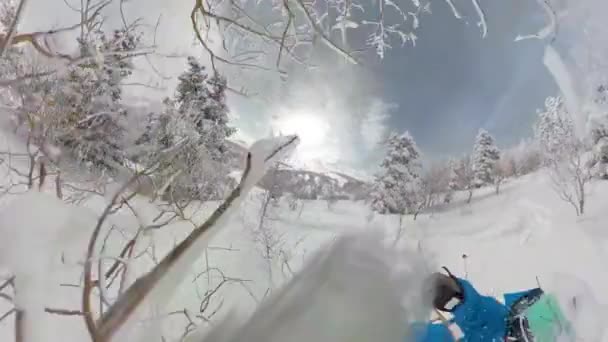 SELFIE: Divertido tiro de un esquiador estrellándose en la nieve en polvo profundo mientras esquiaba en los árboles. — Vídeo de stock