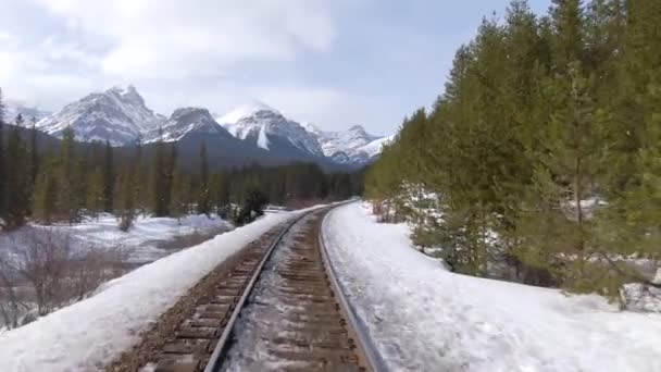 AERIAL: Vliegen langs roestige treinrails die door het besneeuwde dennenbos leiden. — Stockvideo