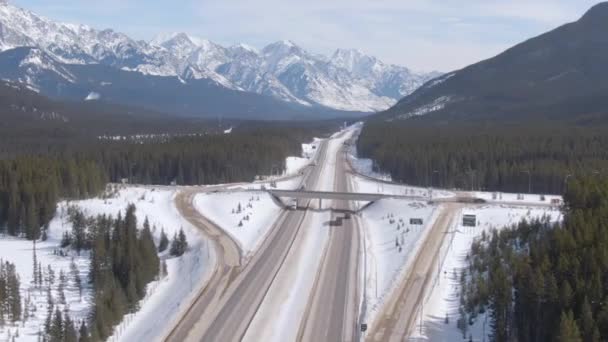 AERIAL: Ciężarówki przewożą ładunek w dół Trans Canada Highway w słoneczny zimowy dzień — Wideo stockowe