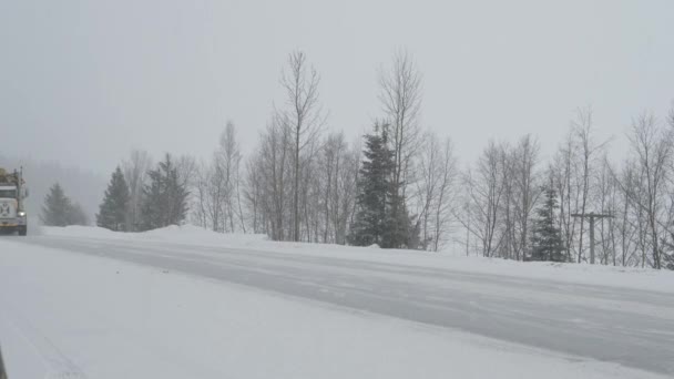 重型运货卡车载着一批原木穿过冰冷的暴风雪. — 图库视频影像