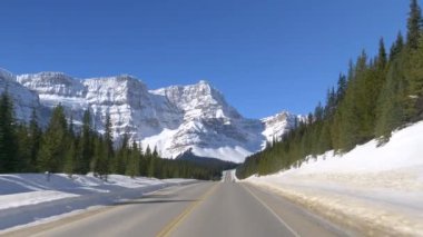 Güneşli bir kış gününde ünlü Icefields Parkway güzergahı boyunca araba sürüyorum..