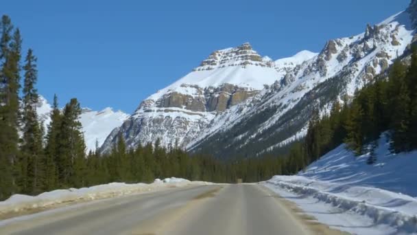 POV: Vista panorâmica em primeira pessoa de dirigir pelo Icefields Parkway no dia ensolarado — Vídeo de Stock