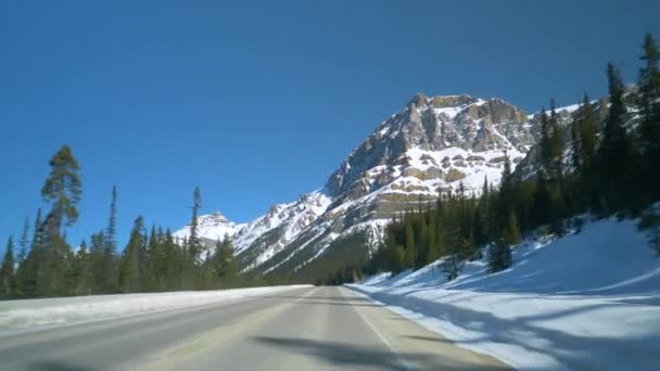 POV: Driving along an empty asphalt road leading through Banff National Park — Stock Video