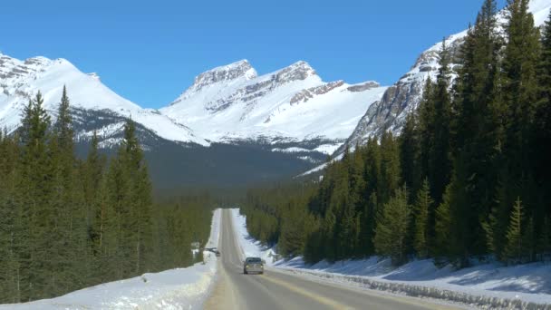 Pick-up truck rijdt langs landelijke weg die leidt over Banff National Park — Stockvideo