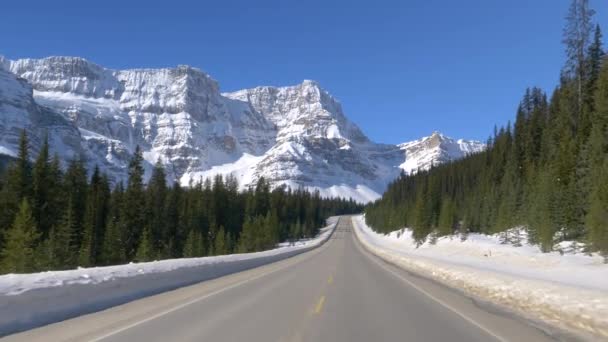 POV: Szenischer Blick auf winterliche Landschaft während eines Roadtrips entlang des Icefields Parkway. — Stockvideo