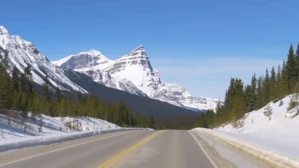 POV : Vue spectaculaire des sommets enneigés lors d'un road trip le long de la promenade des Glaciers. — Video