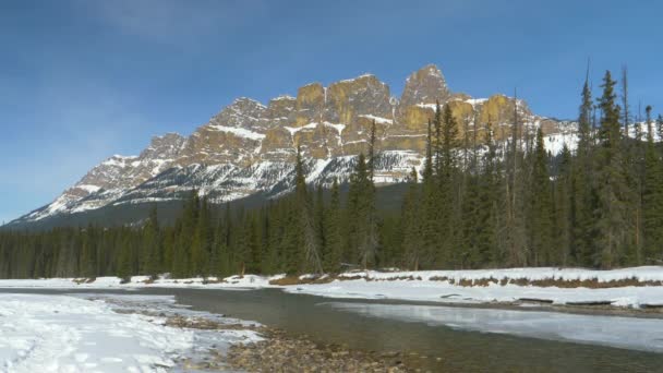 Bow River fließt durch einen Kiefernwald unter den majestätischen kanadischen Rocky Mountains — Stockvideo