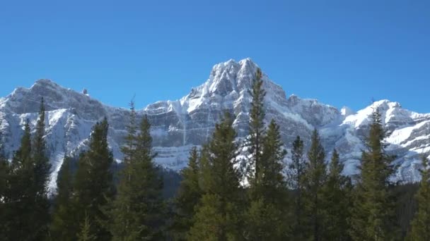DRONE: Landelijk uitzicht op de Rocky Mountains torenhoog boven het dennenbos in Banff. — Stockvideo