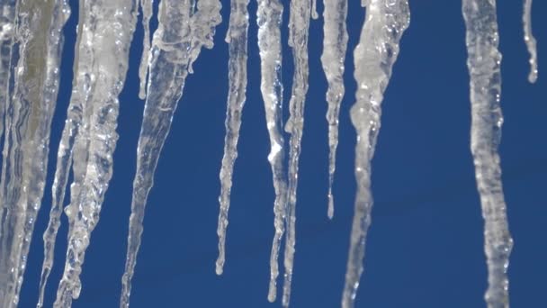 Sluiten: Koude temperaturen zorgen ervoor dat waterdruppels bevriezen en ijspegels vormen. — Stockvideo