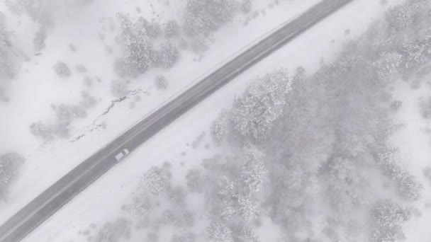 トップダウン:吹雪の中、雪の荒野を走る車の上を飛ぶ. — ストック動画