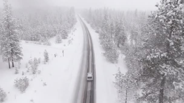 DRONE: Pendler auf dem Nachhauseweg von der Arbeit fährt durch schweren Schneesturm — Stockvideo
