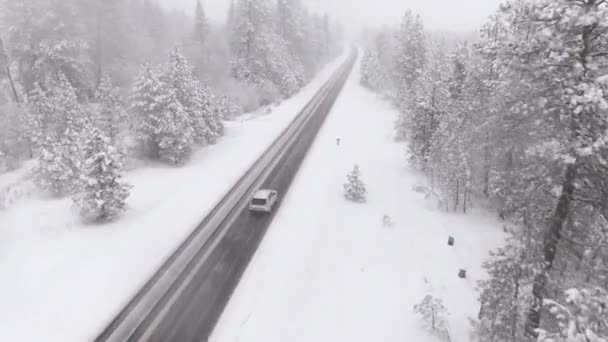 AERIAL: Stříbrné auto jede zasněženou venkovskou cestou vedoucí borovým lesem. — Stock video