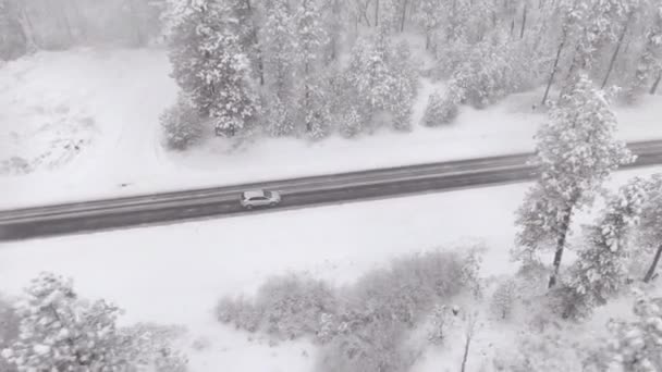 DRONE: Cinematic shot of a car driving down an empty road during a snowstorm — Stock Video