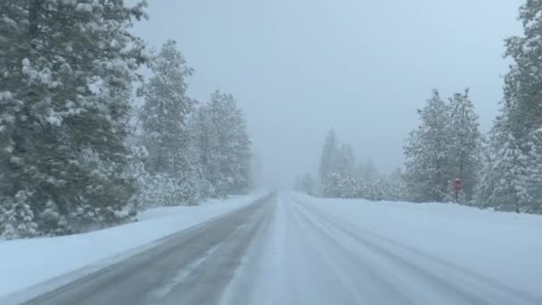 POV: Conduciendo por un camino nevado en Washington durante una fuerte tormenta de nieve . — Vídeos de Stock