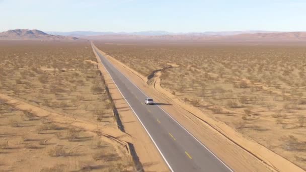 DRONE: Touristen im SUV erkunden an einem sonnigen Tag die atemberaubende Mojave-Wüste — Stockvideo