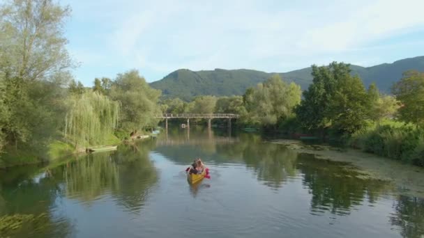 AERIAL: Grupo de jóvenes turistas en viaje en canoa remo hacia un puente de madera — Vídeo de stock