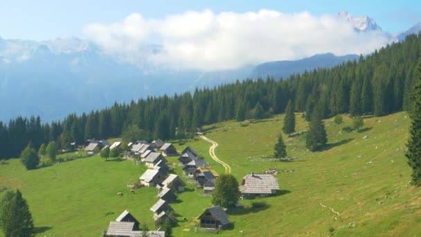 AERIAL: Vliegen over een rij traditionele berghutten in Pokljuka, Slovenië — Stockvideo