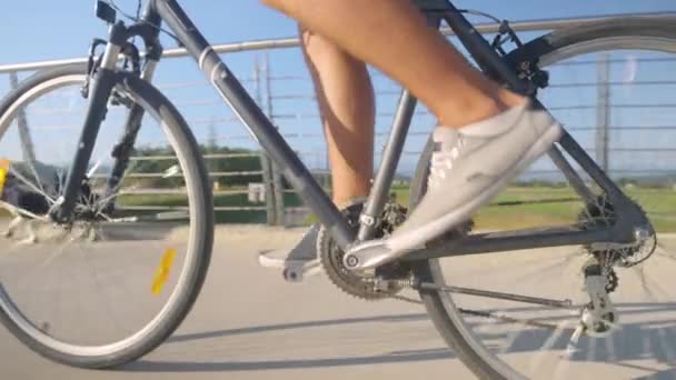 CHIUSURA: L'uomo irriconoscibile va in bicicletta mentre porta a spasso il suo cane. — Video Stock