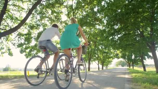 LOW Kąt: Para cieszy się aktywną randką, jadąc rowerami wzdłuż alei słonecznej — Wideo stockowe