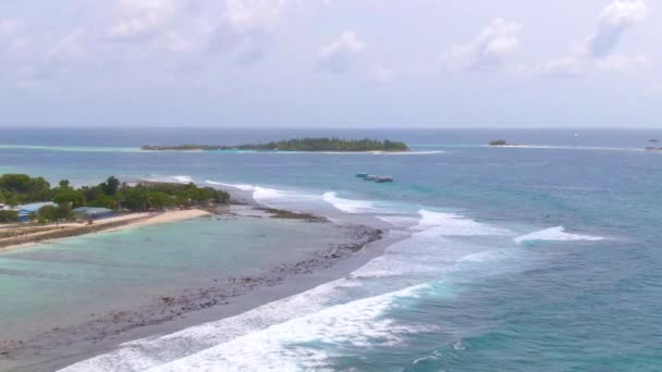 Os surfistas esperam na fila para apanhar ondas e montá-las na ilha tropical. — Vídeo de Stock